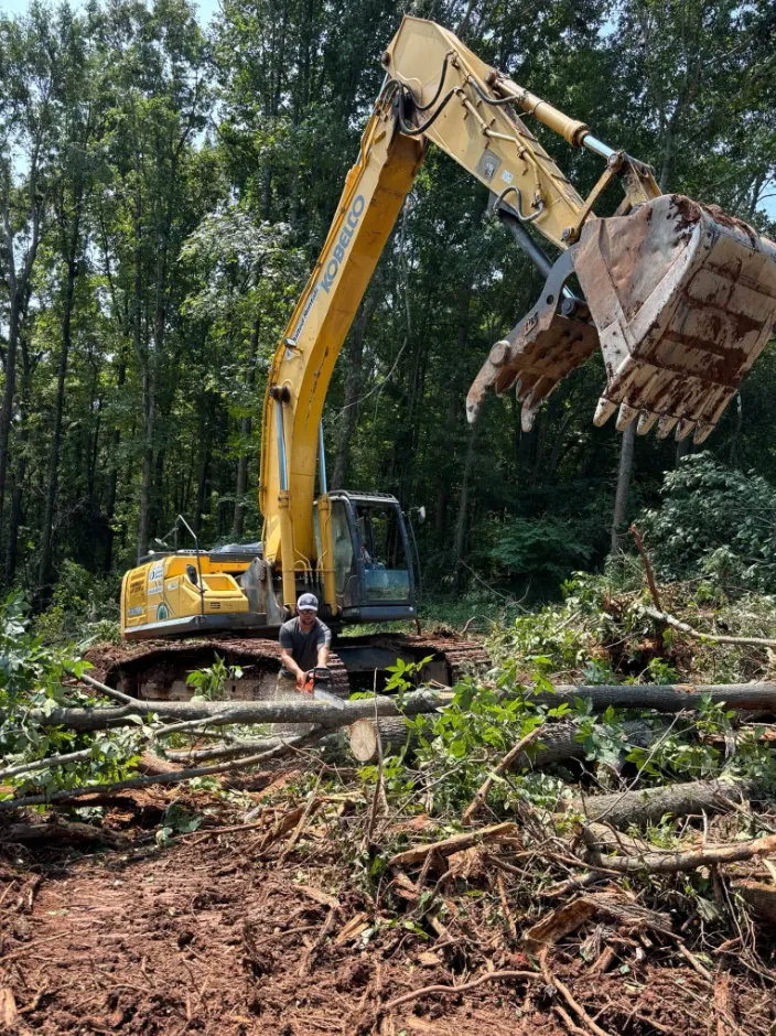 Excavator clearing timber on a wooded lot